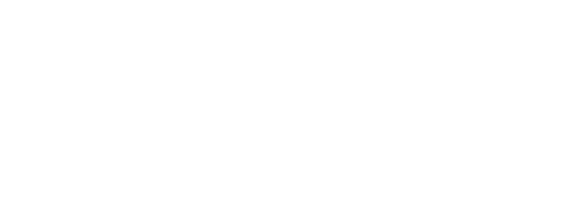 Design Concrete Systems  logo