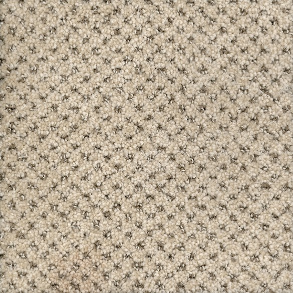 Marquis Carpet Mills image 1