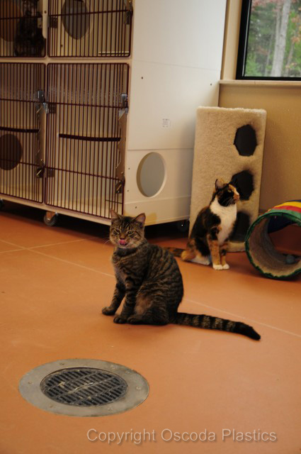 Protect-All Flooring image 5