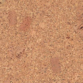 Nova Distinctive Floors image 3