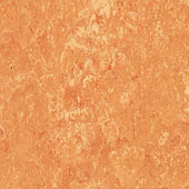 Nova Distinctive Floors image 1