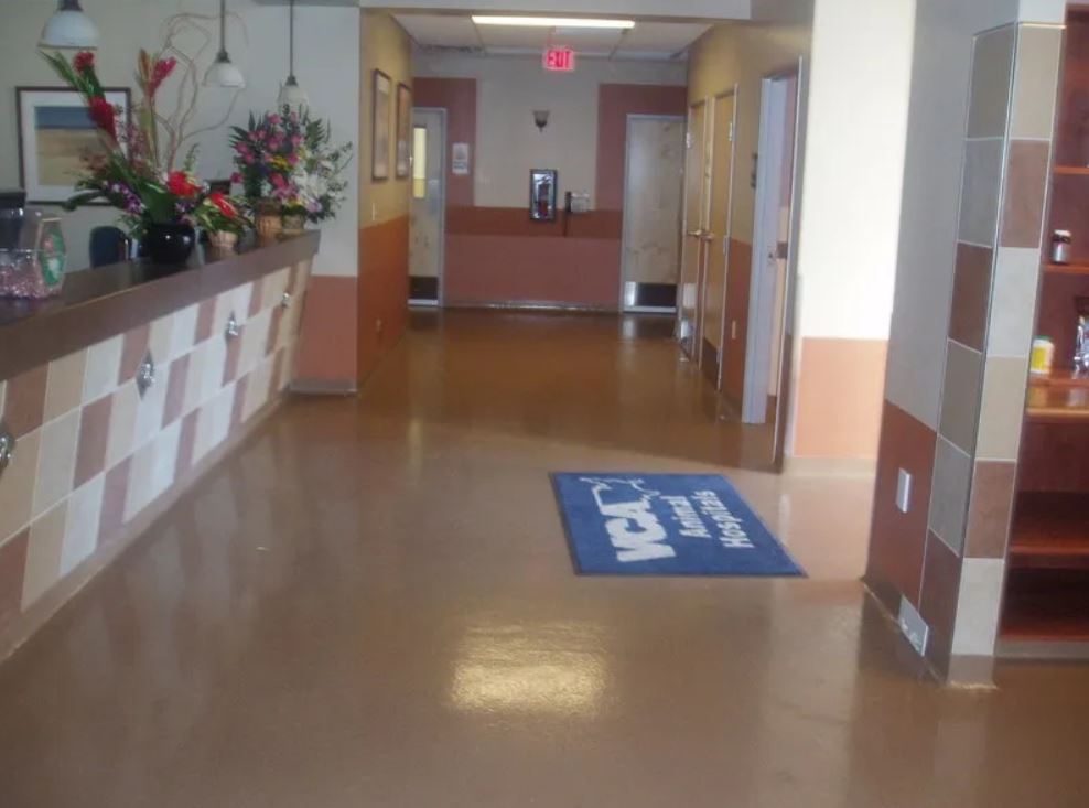 Sunbelt Flooring Inc. image 2