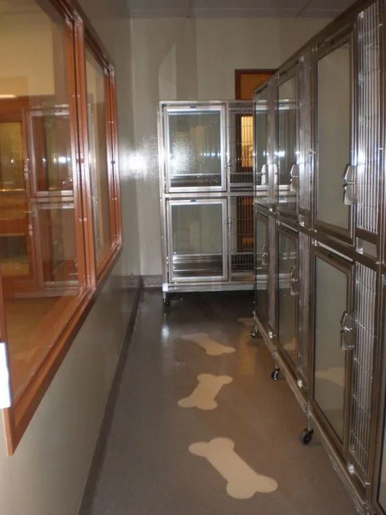 Sunbelt Flooring Inc. image 9