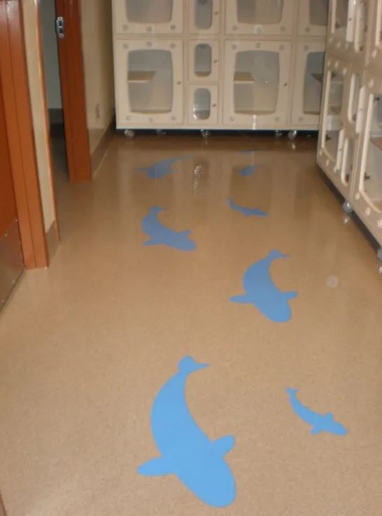 Sunbelt Flooring Inc. image 23