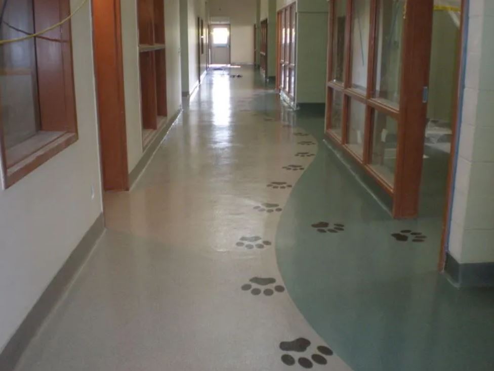 Sunbelt Flooring Inc. image 4