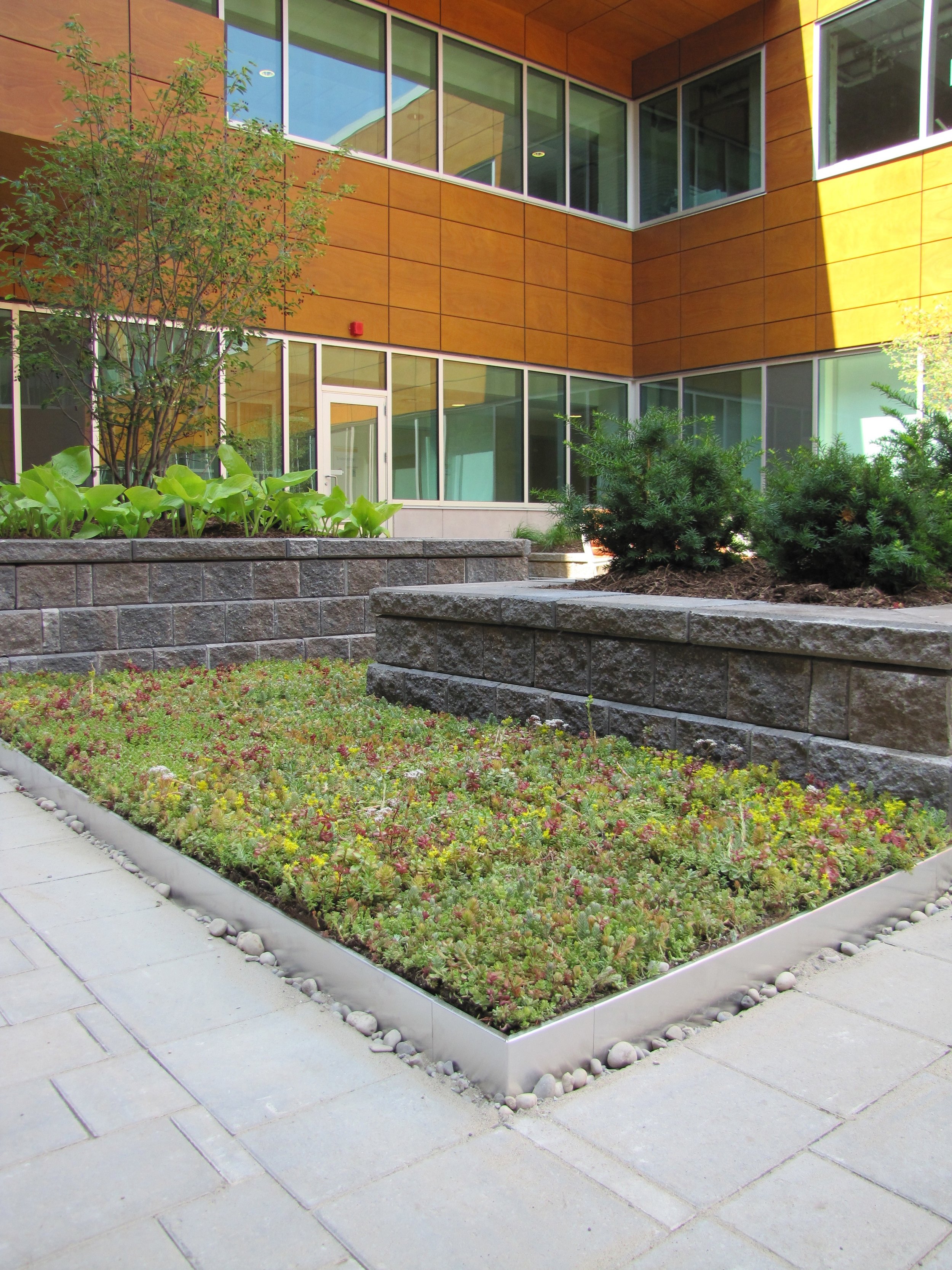 Bioroof Systems image 5