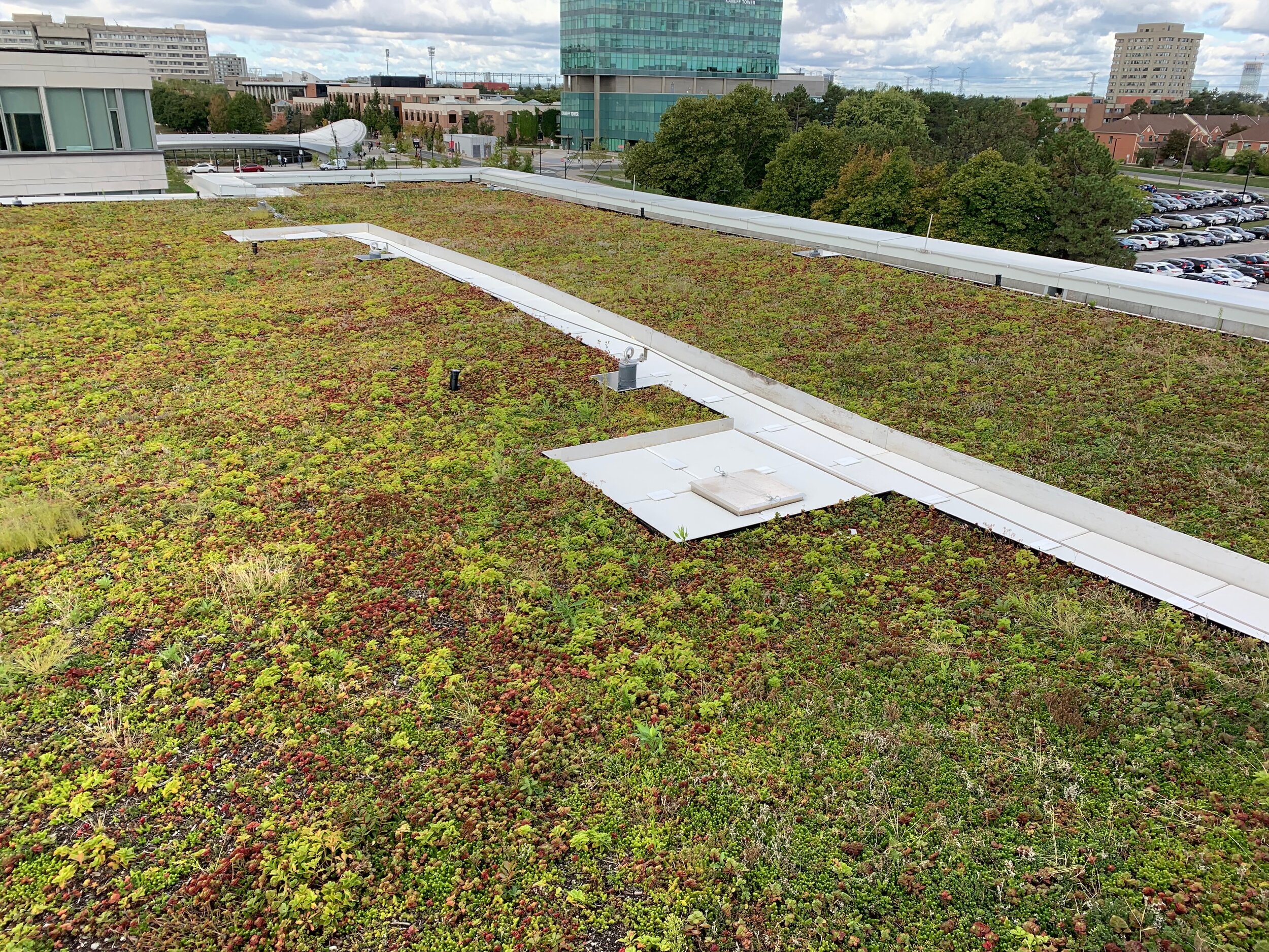 Bioroof Systems image 12