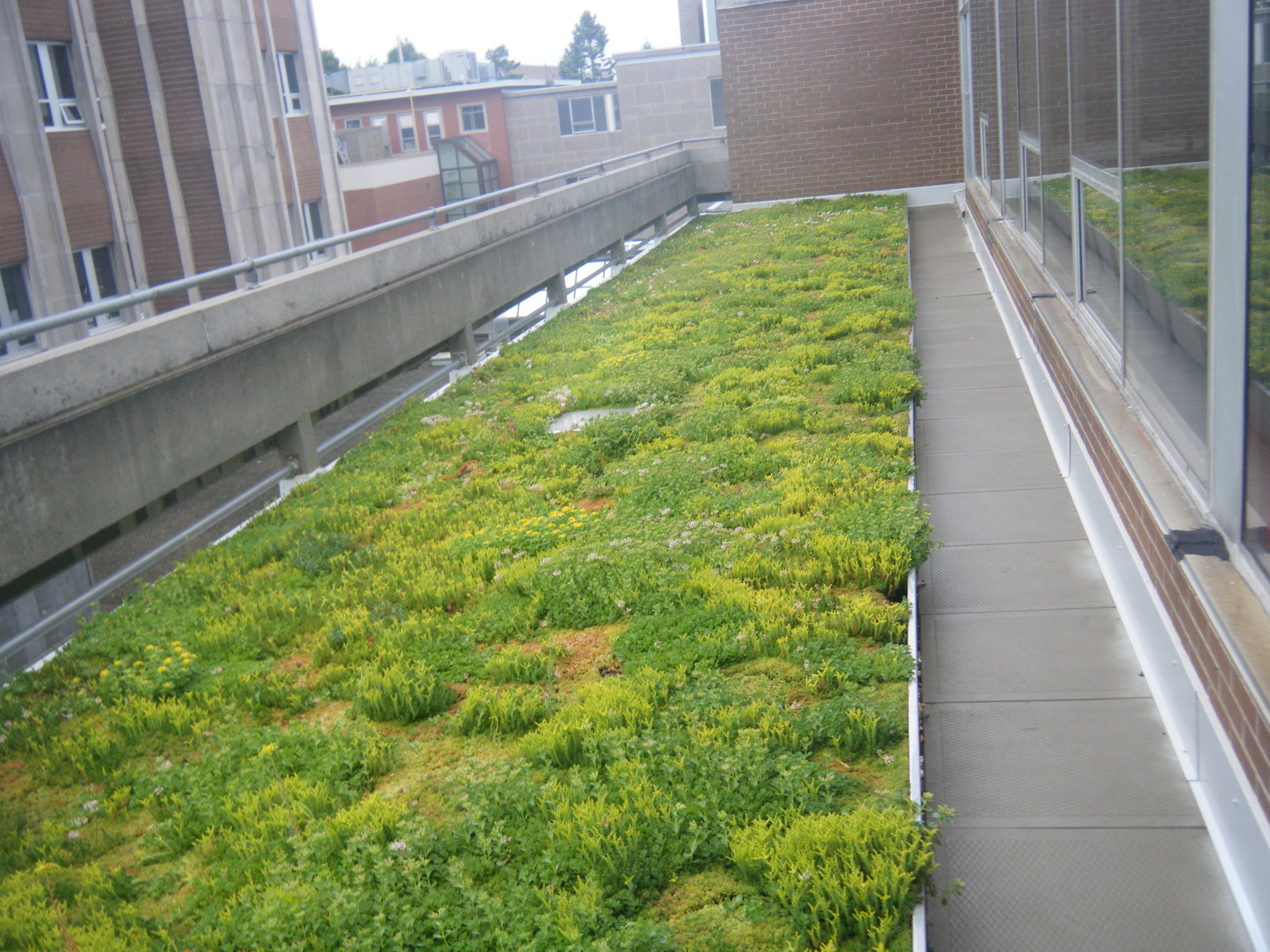 Bioroof Systems image 9
