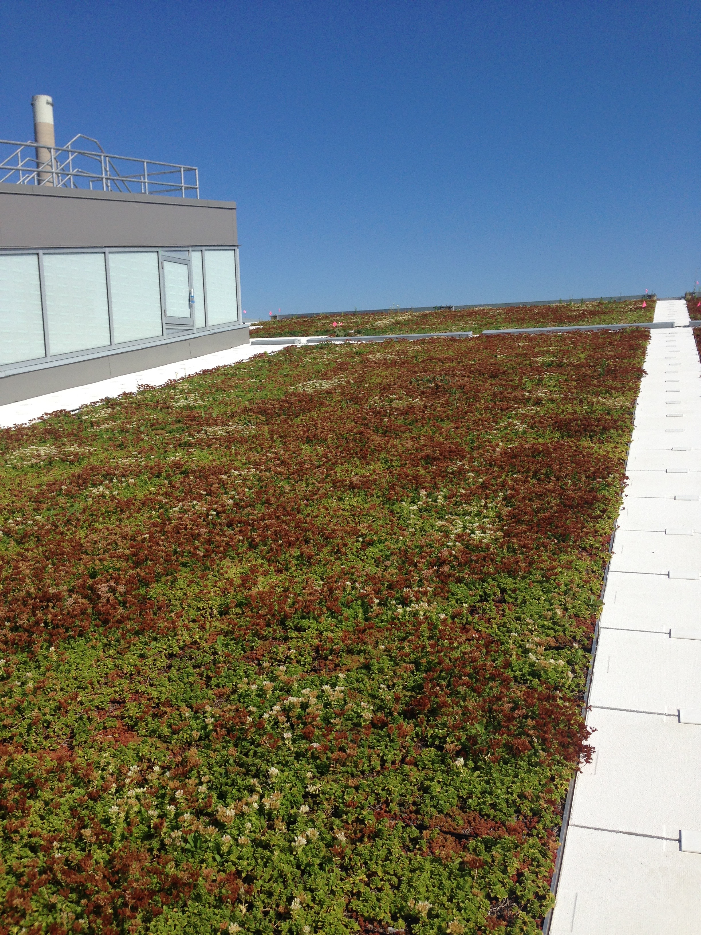 Bioroof Systems image 11