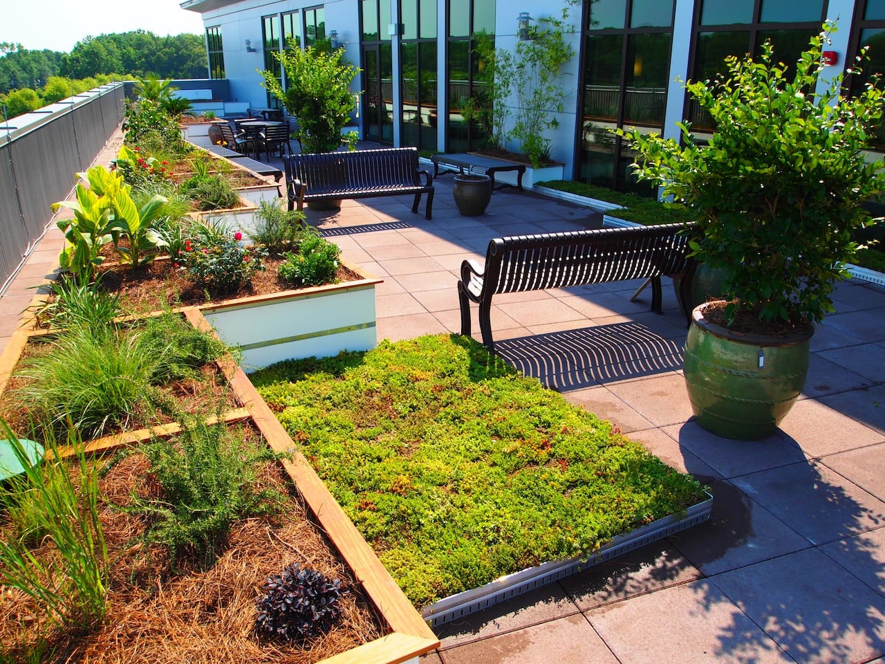 Greenrise Technologies image 12