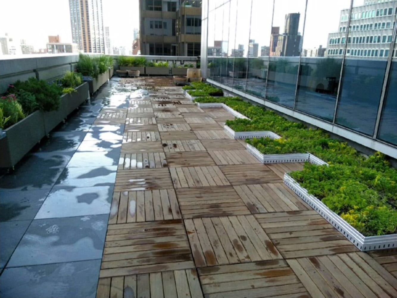 Greenrise Technologies image 4