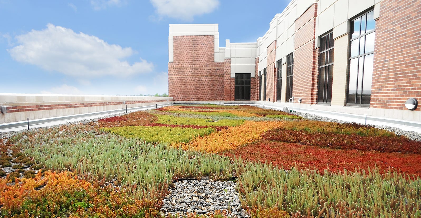 Greenrise Technologies image 2
