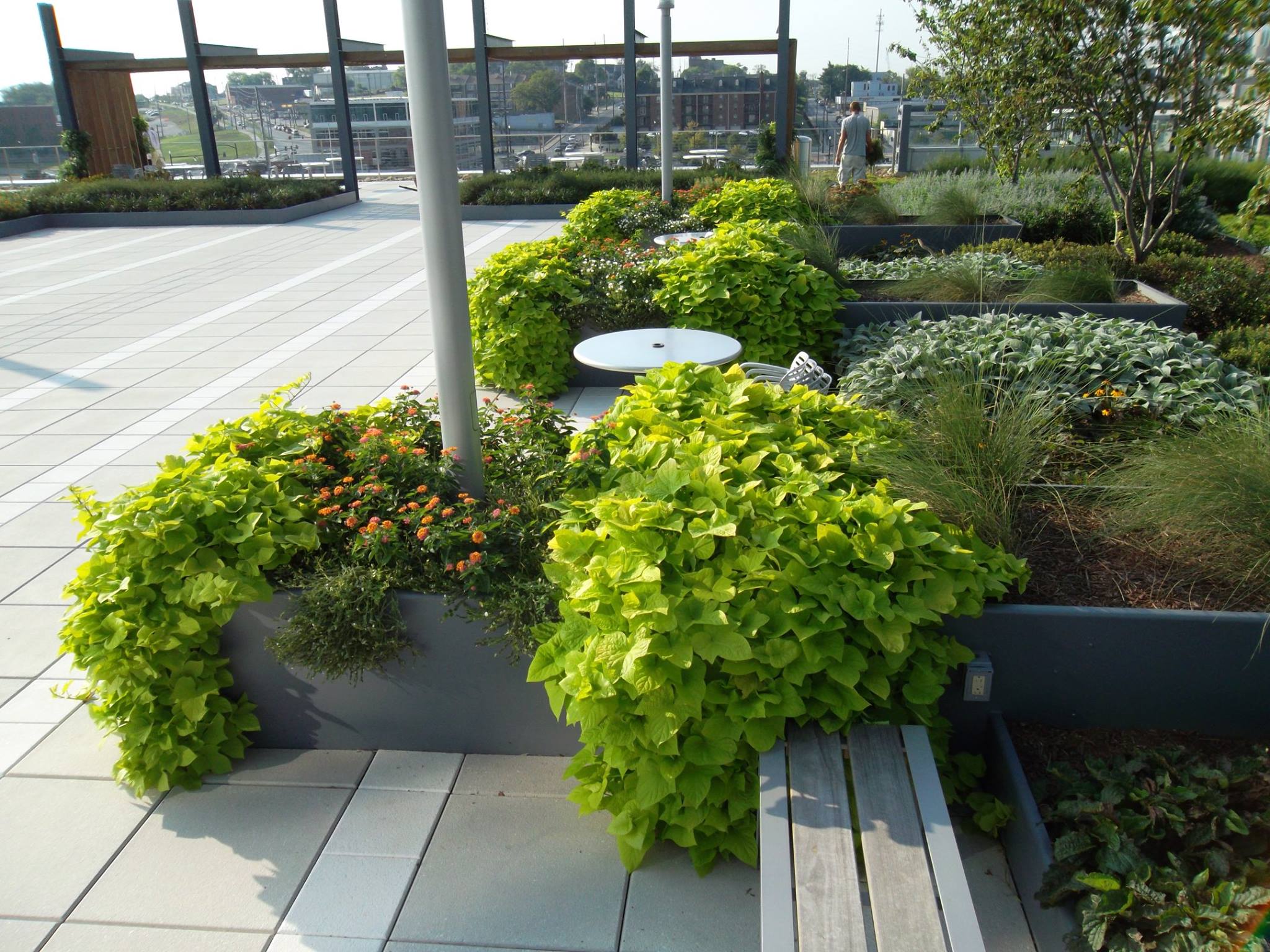 Greenrise Technologies image 1