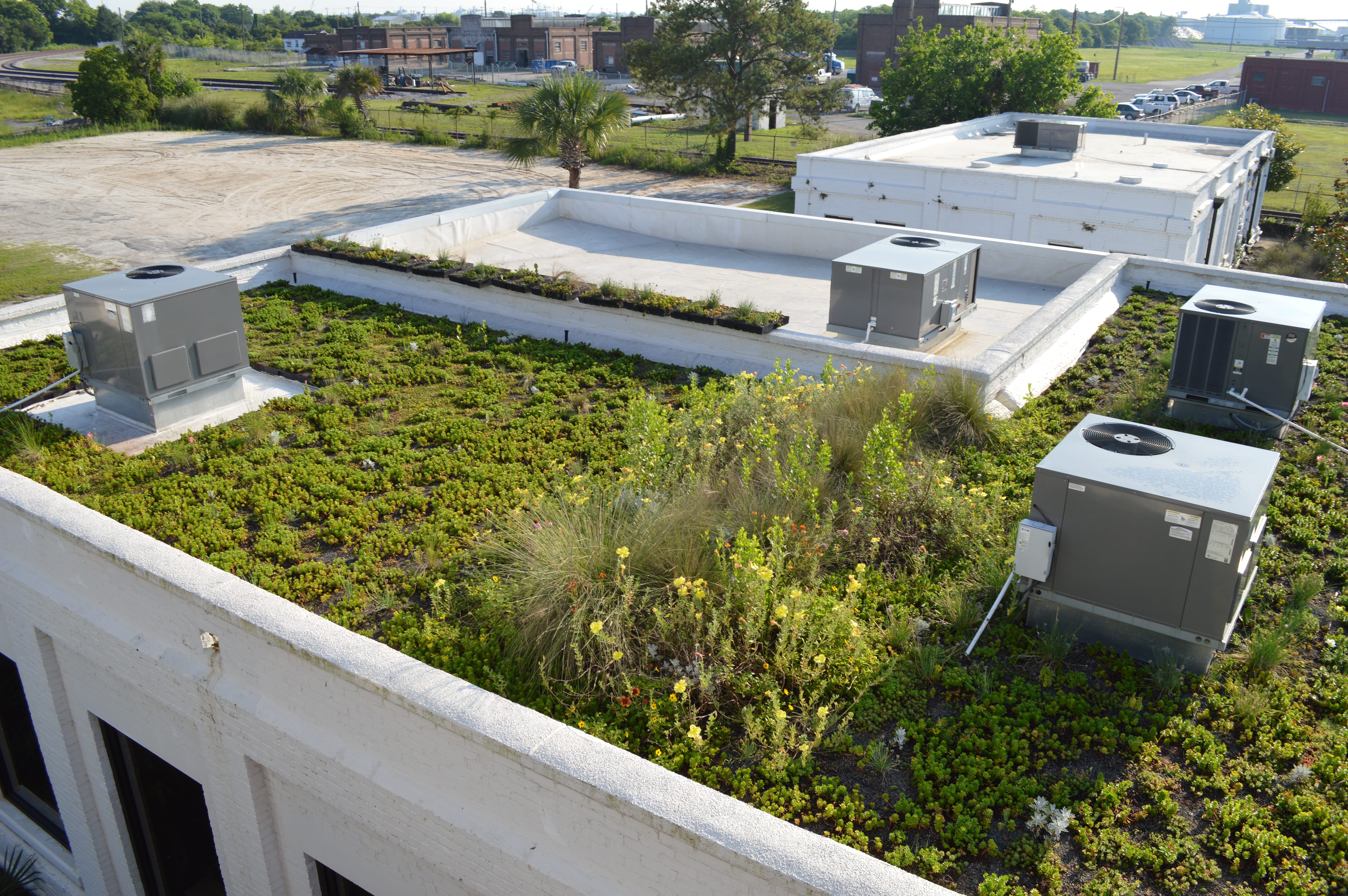 Greenrise Technologies image 8