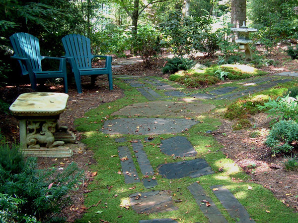 Moss Acres LLC image 1