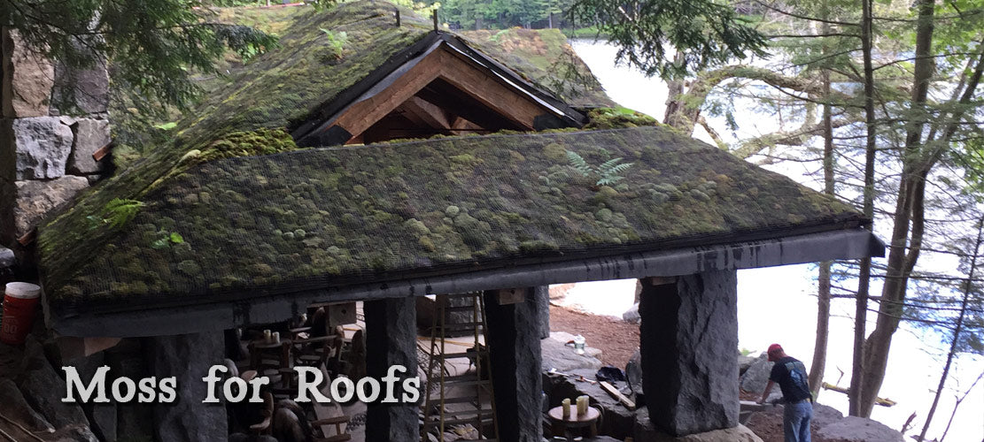 Moss Acres LLC image 3