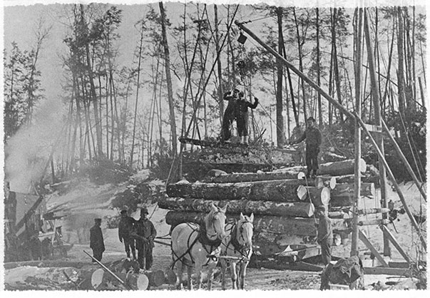 Menomonee Tribal Enterprises image 5