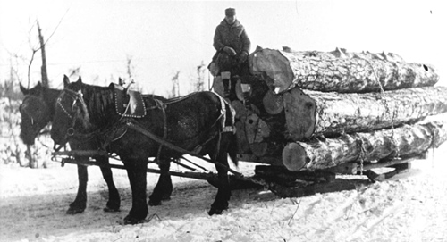 Menomonee Tribal Enterprises image 4