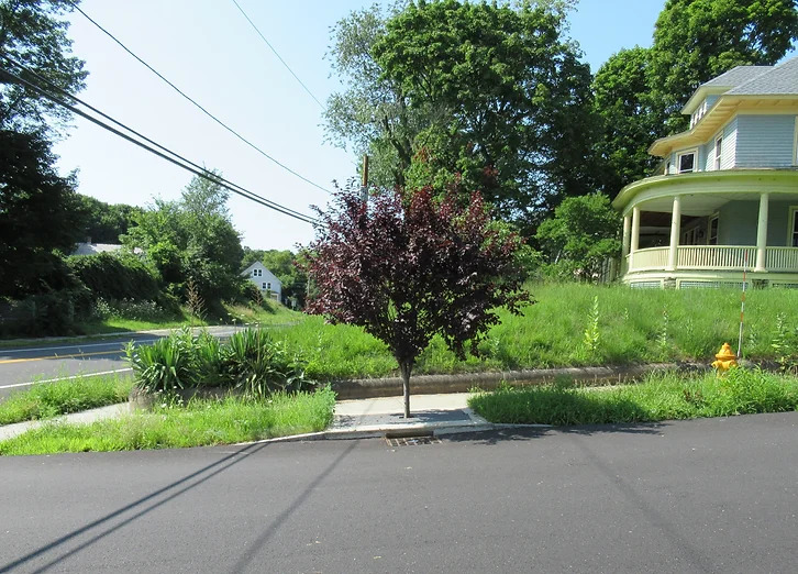 StormTree image 3