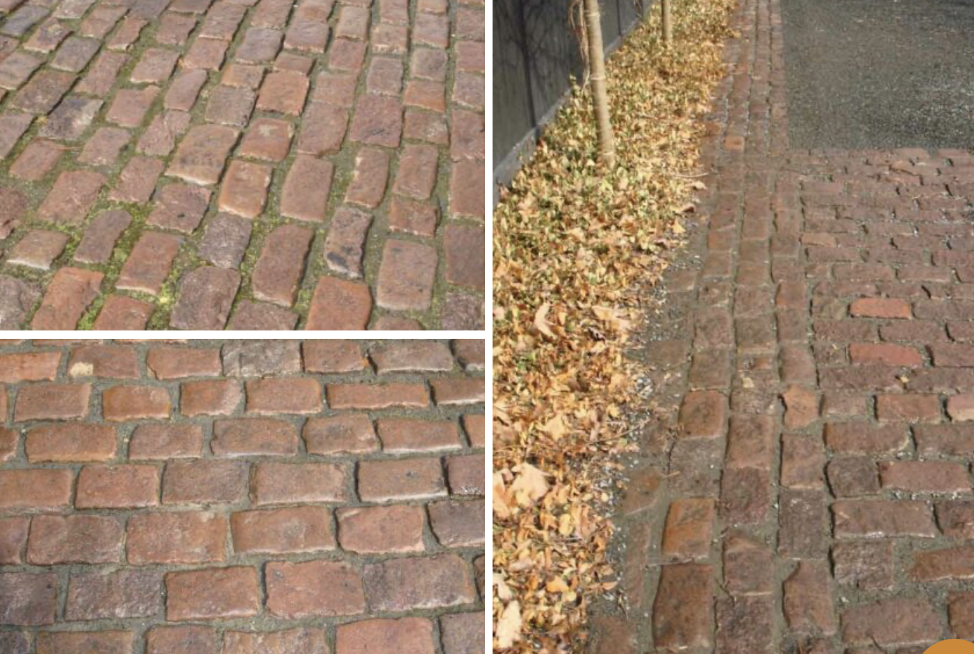 Gavin Historical Bricks image 18