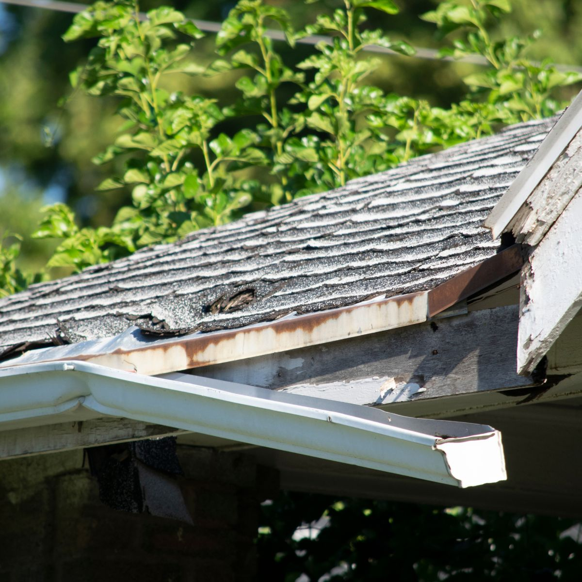 Gutter Helmet image 6