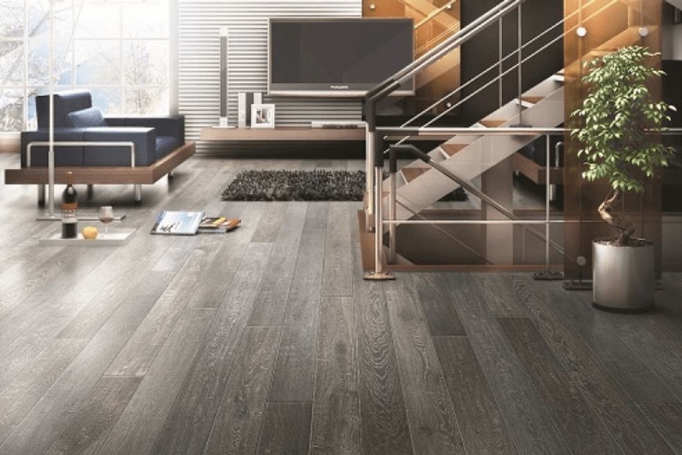 Hardwoods of Wisconsin image 10