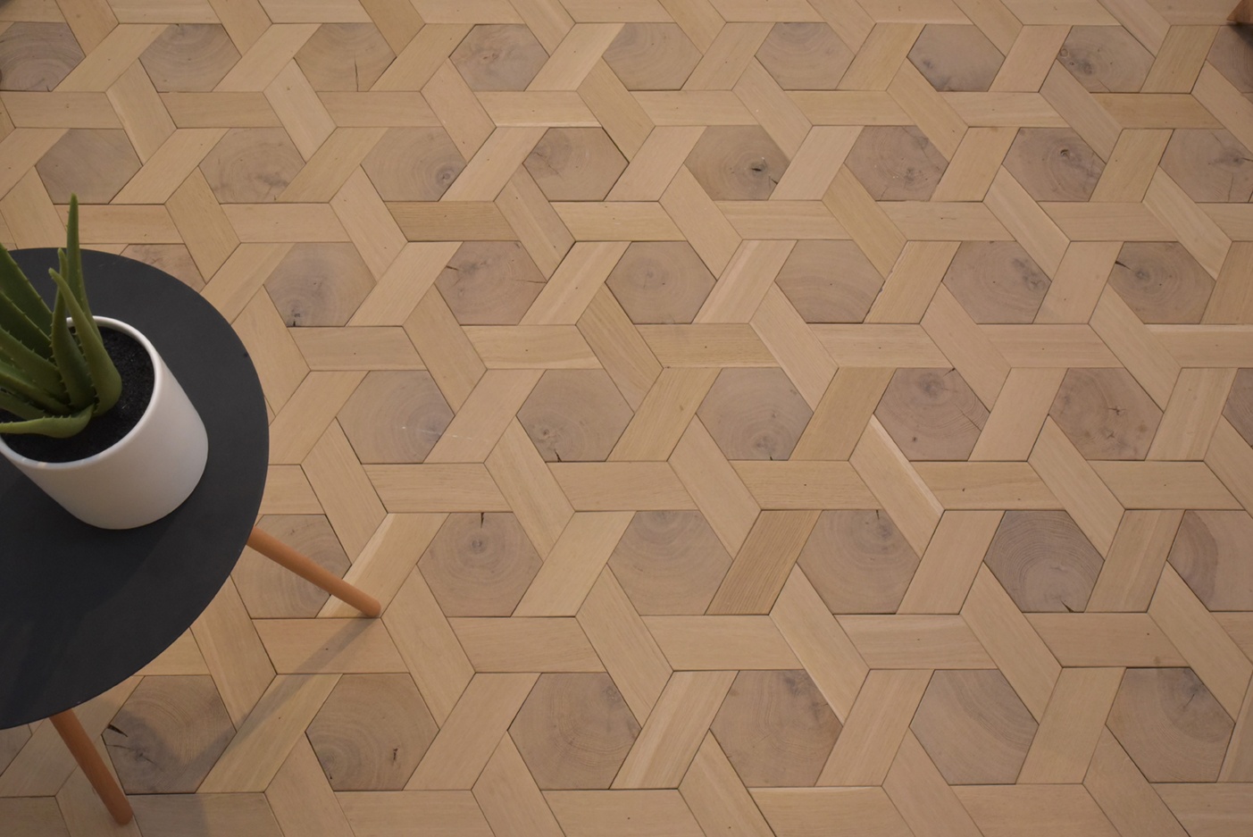 Hardwoods of Wisconsin image 13