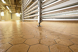 Argelith Ceramic Tiles, Inc. image 7