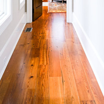 Evolutia image 7