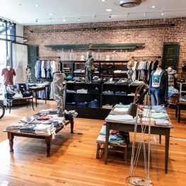Evolutia image 16
