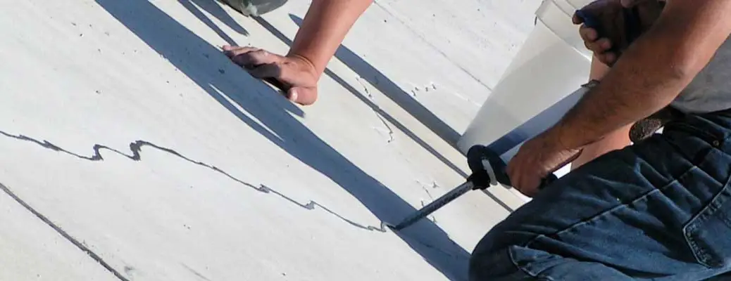 Roadware image 4