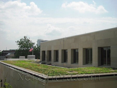Xero Flor America, LLC image 10