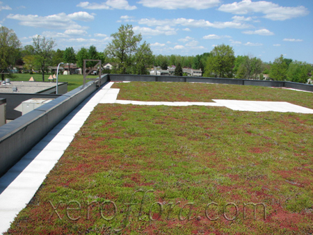 Xero Flor America, LLC image 2