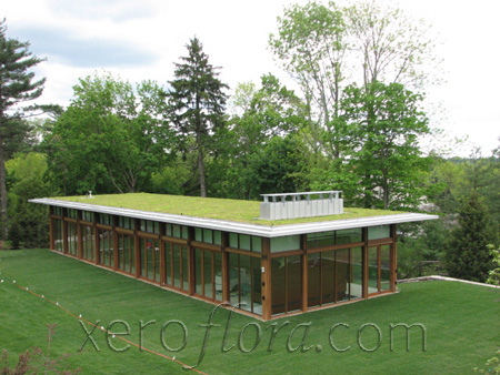 Xero Flor America, LLC image 3