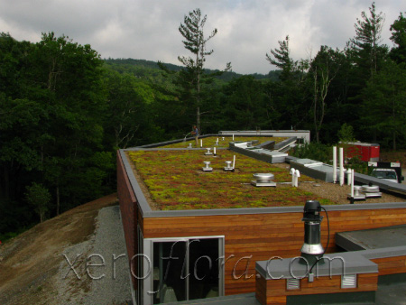 Xero Flor America, LLC image 7
