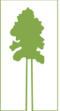 Old Wood LLC logo