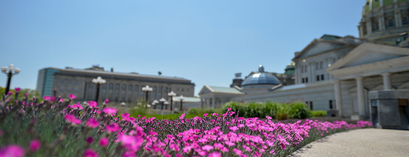 Rooflite