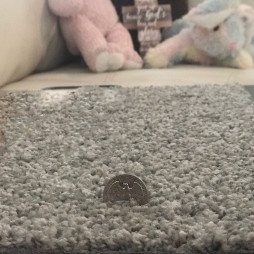 Dalton Paradise Carpet, Inc. image 5