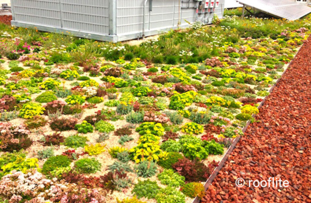 Rooflite image 4