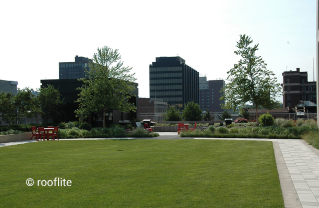 Rooflite image 6