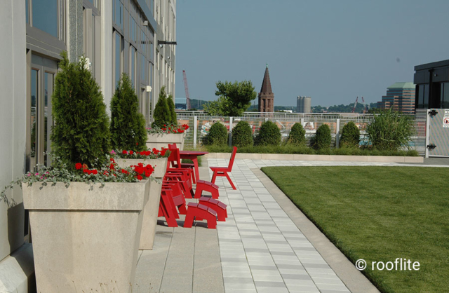 Rooflite image 7