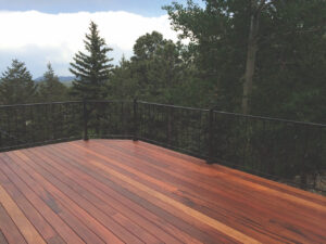 Tiger Deck LLC image 5