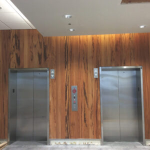 Tiger Deck LLC image 1