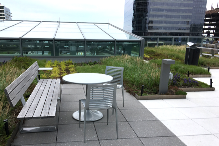 Apex Green Roofs image 14
