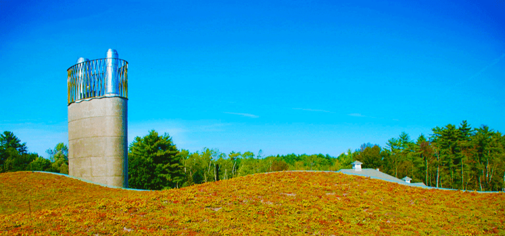 Apex Green Roofs image 15