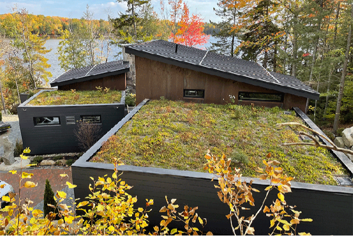 Apex Green Roofs image 3