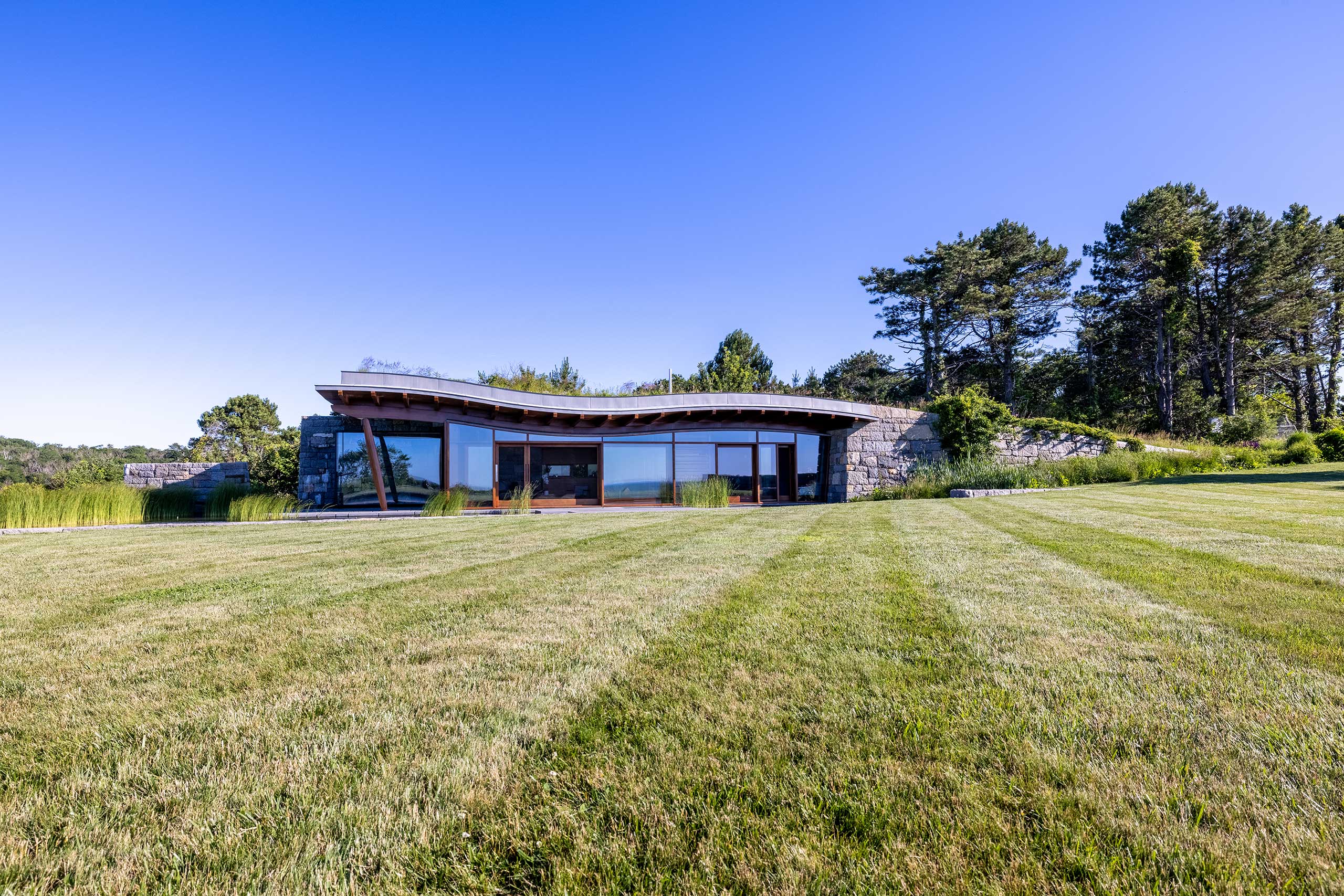 Apex Green Roofs image 16