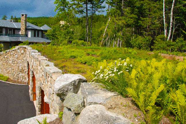 Apex Green Roofs image 4