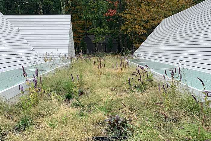 Apex Green Roofs image 10
