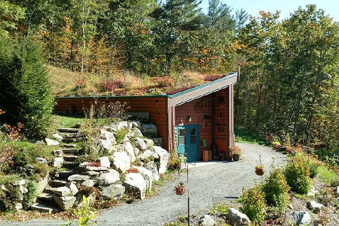 Apex Green Roofs image 6